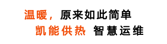 20年专业锅炉制造商,全预混低氮冷凝燃气锅炉生产销售招商