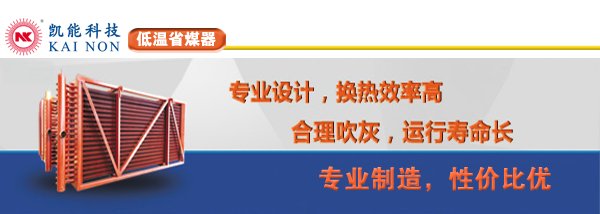 低温省煤器制造商