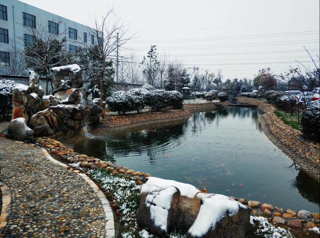 青岛凯能雪景